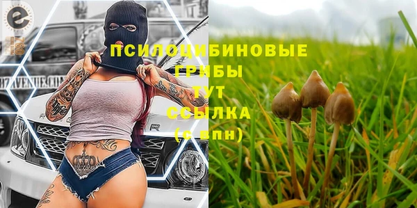 твердый Волосово