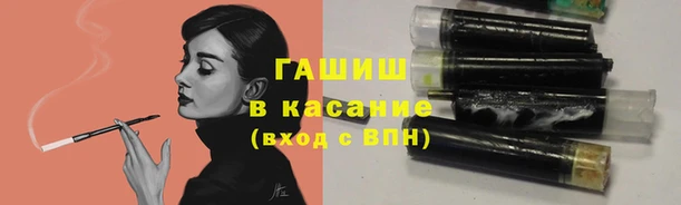 спиды Вяземский