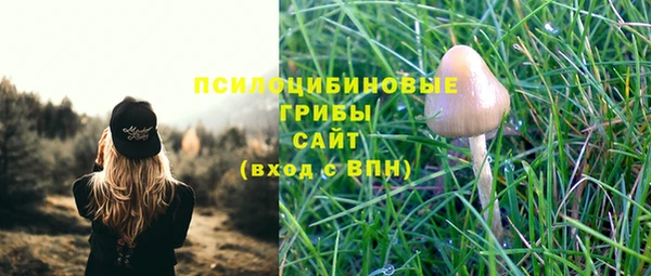 гидропоника Вязьма