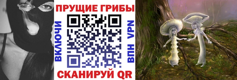 Галлюциногенные грибы прущие грибы  наркота  Жуков 
